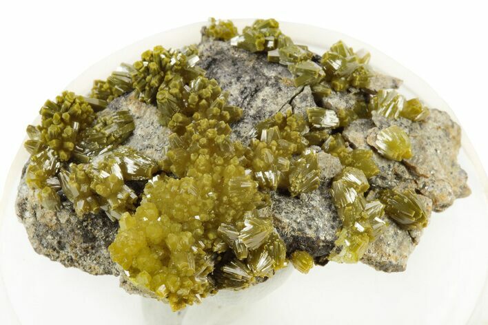 Lustrous Forest-Green Pyromorphite Crystal Cluster - China #242857